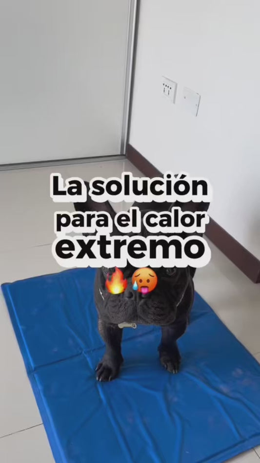 Manta Fría para Perros y Gatos - Gel Auto-Enfriable