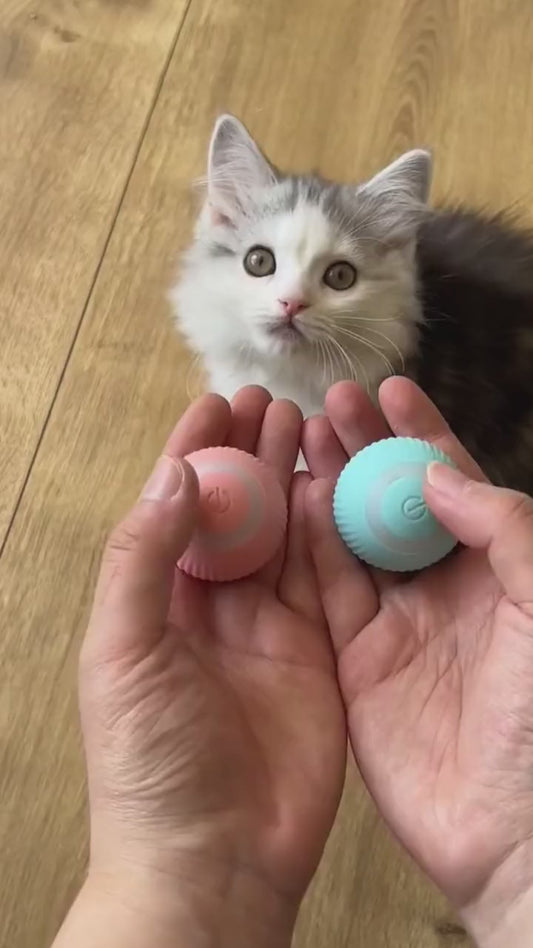 SmartBall - Pelota Loca Interactiva para Gatos y Perros